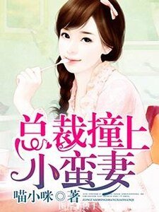總裁撞上小蠻妻